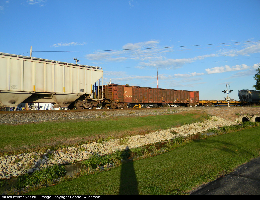 CN 509128 is new to RRPA!